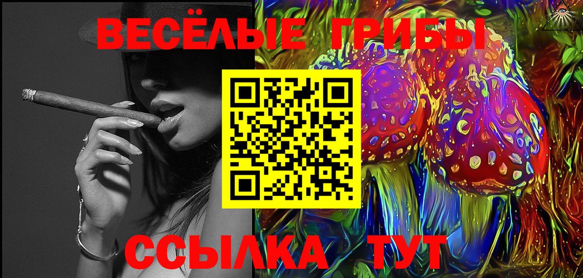 Псилоцибиновые грибы Cubensis Черногорск